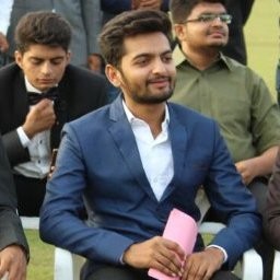 Bhargav Bhesaniya — Director at Raycal Power